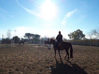 Centro Equestre Bellavista ASD