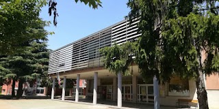 Scuola Primaria Bernareggio