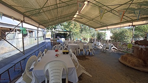 Azienda Agricola Le Palme Di Fantozzi Alessandro