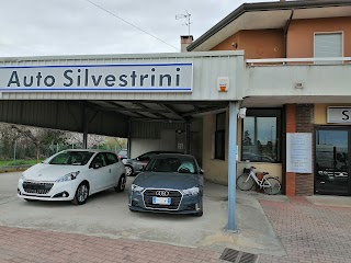 Auto Silvestrini