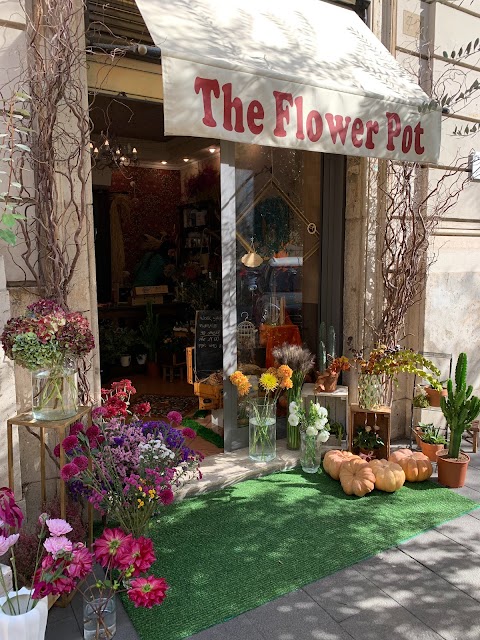 The Flower Pot - fiori e piante