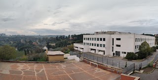 Istituto Comprensivo Lucio Fontana