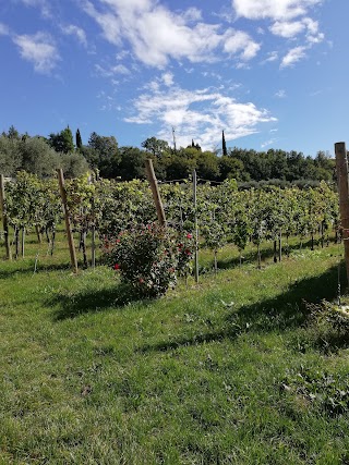 RELAIS ANTICA CORTE AL MOLINO BY ROBERTO MAZZI E FIGLI WINERY