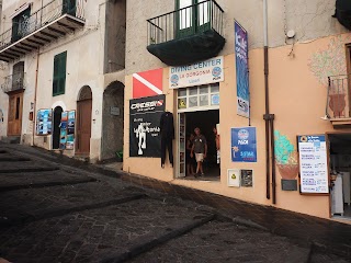 Lipari Diving Center La Gorgonia