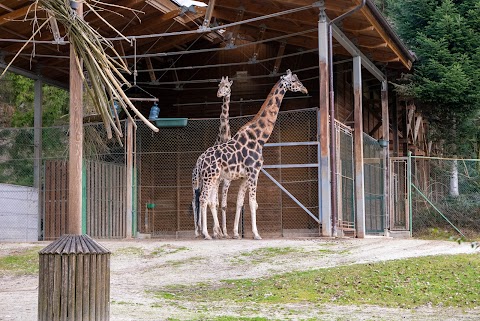 Zoo di Lubiana