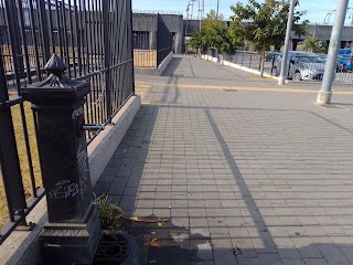 Fontana di Acqua Potabile Skate Park