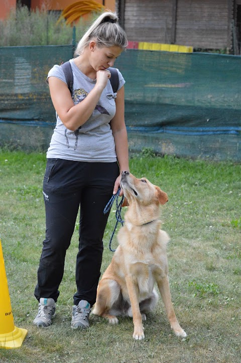 Centro Cinofilo Cane Amico Val di Sole