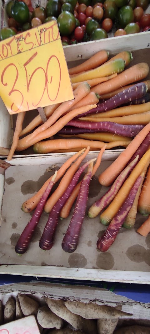 Mercato Coperto Polignano a mare