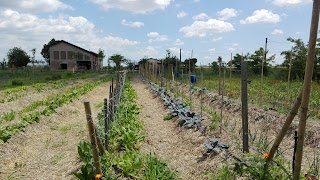 Tenuta la Comuna