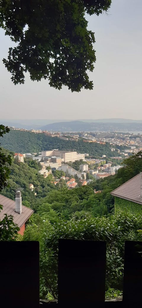 Università degli Studi di Trieste