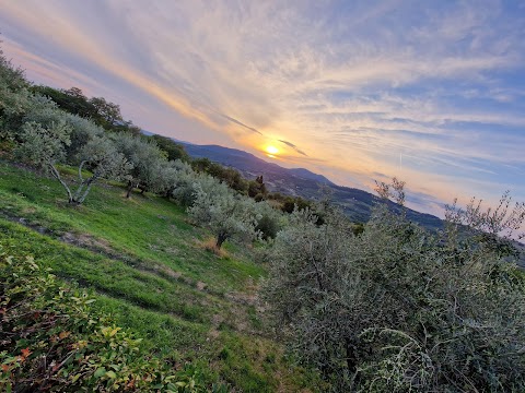 Agriturismo Poggio Al Sole