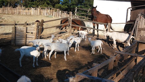 La Fattoria nel bosco