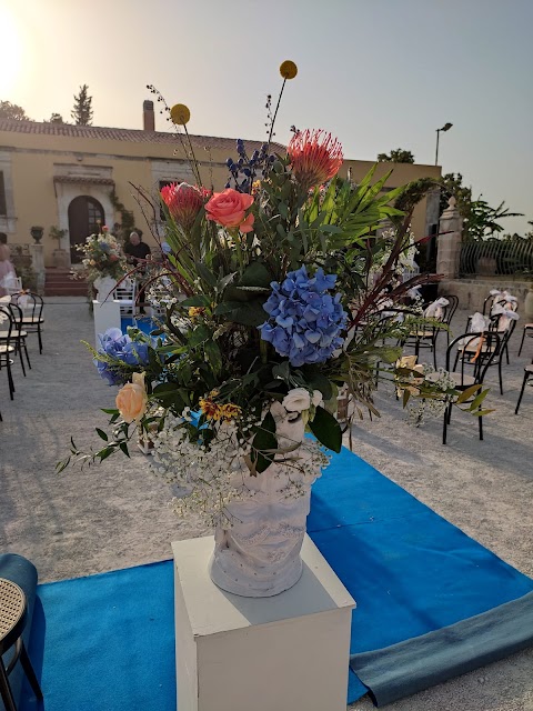 Il Pothos Di Palazzolo Giuseppe