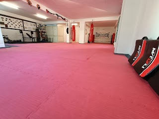 A.S.D CICERONE FIGHT GYM