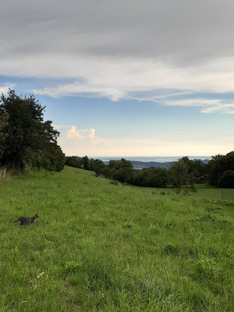 B&b La Fattoria di Campasso