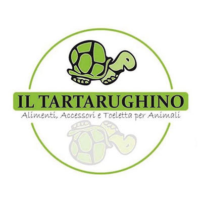 Il Tartarughino