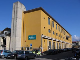 Università "Vasco Gaiffi" A.P.S.