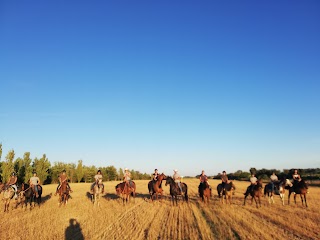 Centro Ippico Equi Caere