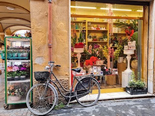 Alla Riviera Di Ghelli Fulvia