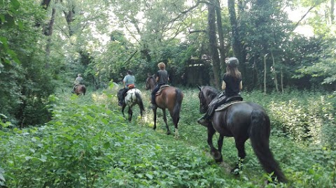 Scuderia il Vecchio Noce di Piacentini P. - collaborazione E.Lavarini Equestrian Team