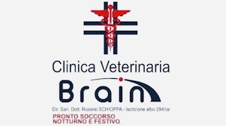 Clinica Veterinaria Brain Dr Schioppa Rosario