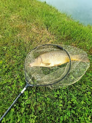 Laghi Euganei Trambacche -Ristorante e pesca sportiva