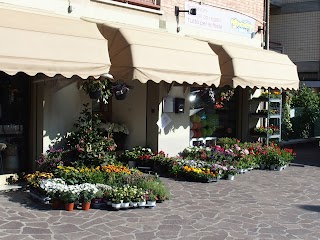 Fiori Rossi di Santonastaso Rossella