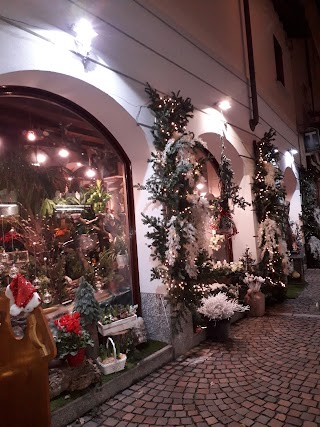 Piante E Fiori Lattuada Di Tognoni Mario