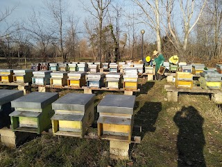 Azienda agricola I Tigli apiario didattico