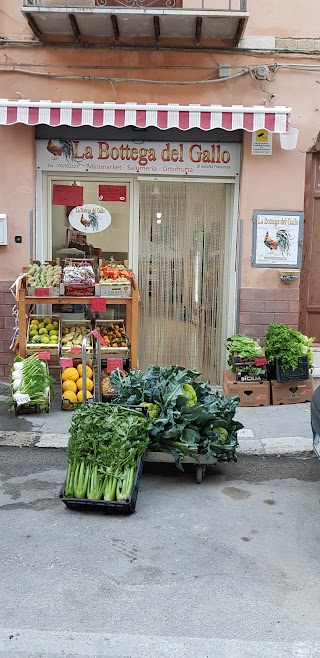 La Bottega Del Gallo