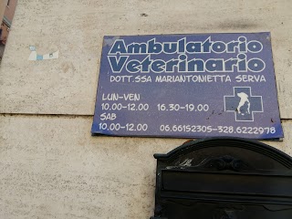 Ambulatorio Veterinario