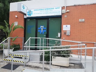 AMBULATORIO VETERINARIO ARTÙ