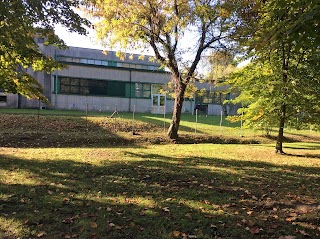 Scuola Primaria Anna Frank