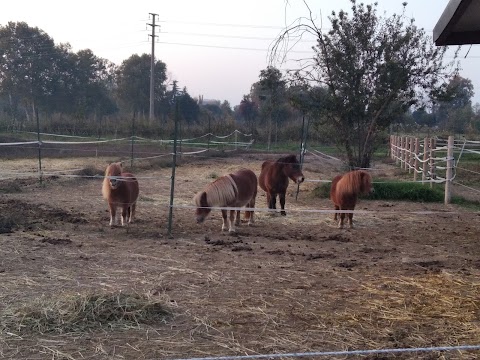 A.S.D. Scuderia Parco dei Mulini