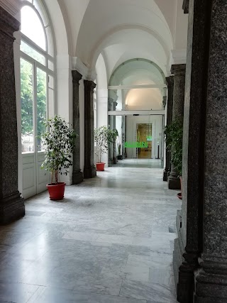 Politecnico di Milano