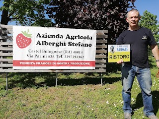 Az.Agr.Alberghi - Vendita Fragole