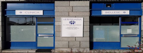 Clinica Veterinaria Biellese dott. Gualtierotti Cristiano Veterinario