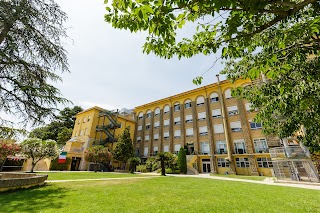 St George's British International School