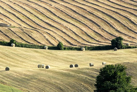 Agenzia Immobiliare Valle Savena