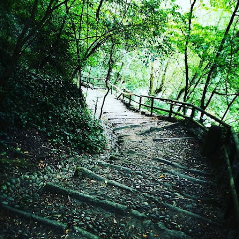 Parco Del Basso Corso Del Fiume Brembo