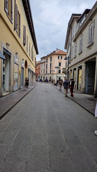 La Casearia di Bonilauri Guido