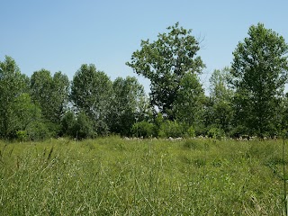 Le Terremare - Azienda Agricola