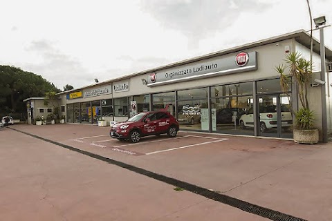 Ladiauto - Organizzato Fiat - Ladispoli