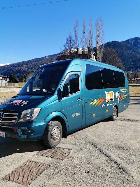 Taxi Autobus Minibus Panizza