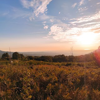 La Collina degli Asinelli