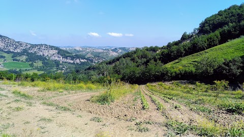 Agriturismo Podere Ortali