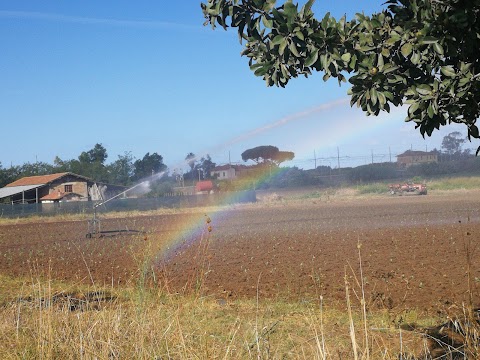 Stazione Maccarese-Fregene