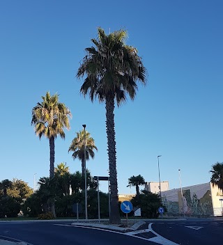 Istituto Tecnico Per Geometri "Rosario Gagliardi"