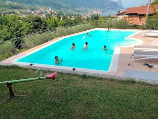 G.F. Piscine Di Festa Dario