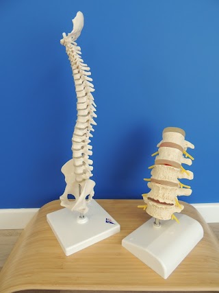 STUDIO FISION Fisioterapia - Osteopatia - Psicologia - Logopedia - Nutrizione - Monza Brianza